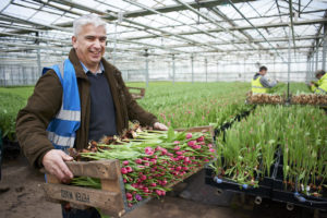 Mark the boss holds a tray of tulips