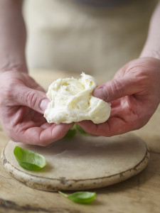 mozzarell tearing copy