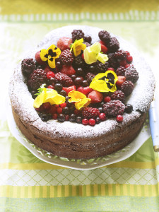 choc cake1