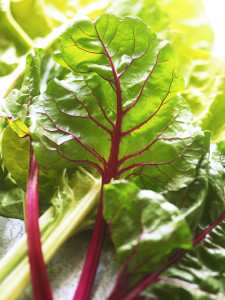 chard copy