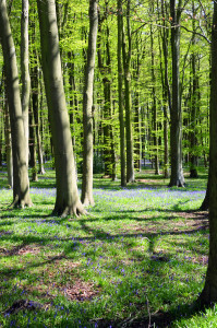 blue2