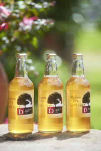 cider4 l