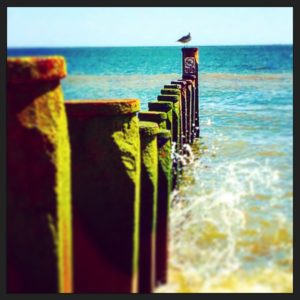 IMG_3610