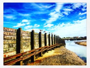 IMG_3661