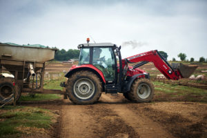 Pig farming modern farming