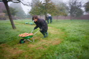 0381barrington-court-apple-day-2016-copy