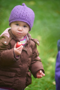 0427barrington-court-apple-day-2016-copy