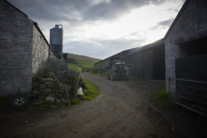 Scottish farming Beef
