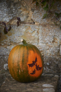 0654barrington-court-apple-day-2016-copy